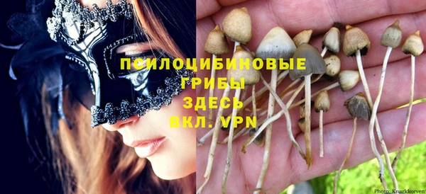 тгк Верхний Тагил