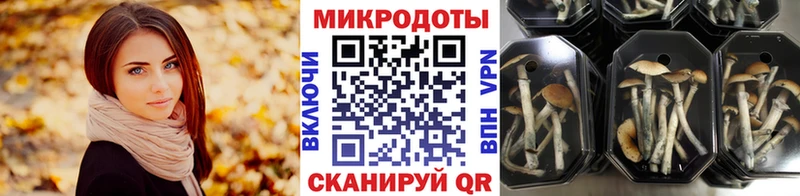 закладка  Весьегонск  kraken рабочий сайт  Псилоцибиновые грибы MAGIC MUSHROOMS 